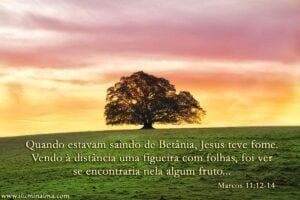 Marcos 11:12-14