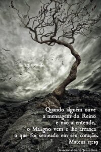 Mateus 13:19