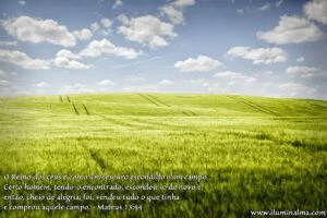 Mateus 13:44