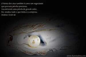 Mateus 13:45-46