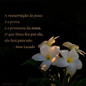 Max Lucado "Quando Você Morre"